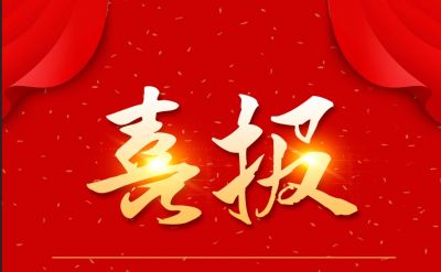新年新喜报，ag尊龙凯时·人生就是博医药下属山东ag尊龙凯时·人生就是博药业喜获三项荣誉